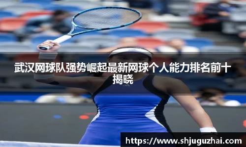 米兰体育官网